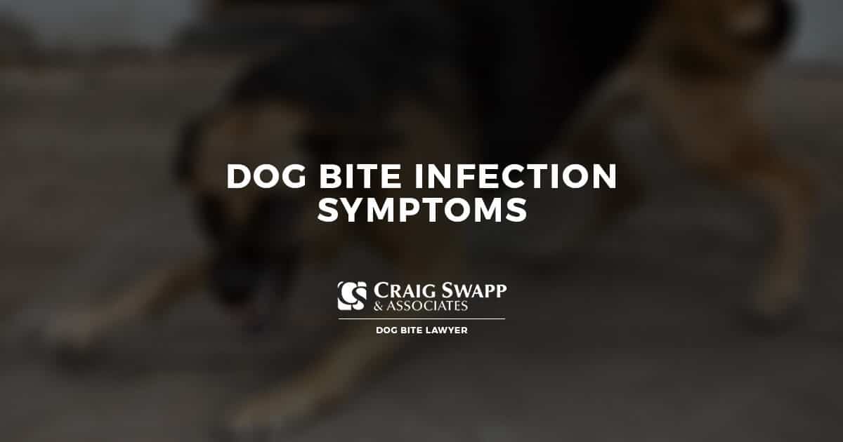 Dog Bite Infection Symptoms Craig Swapp & Associates
