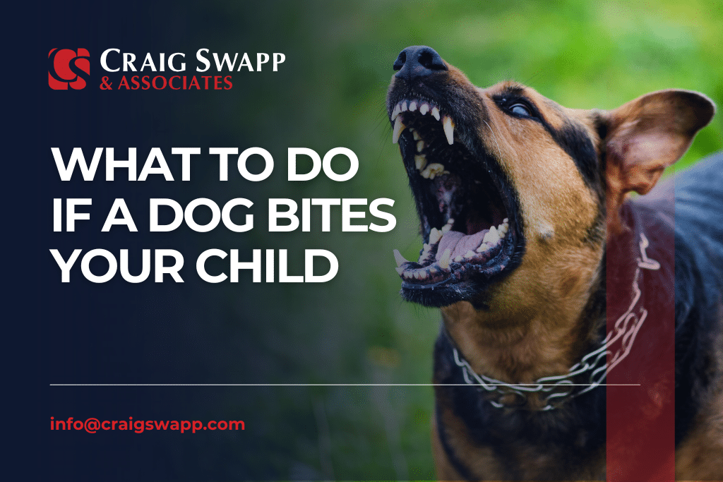 What to Do if a Dog Bites Your Child