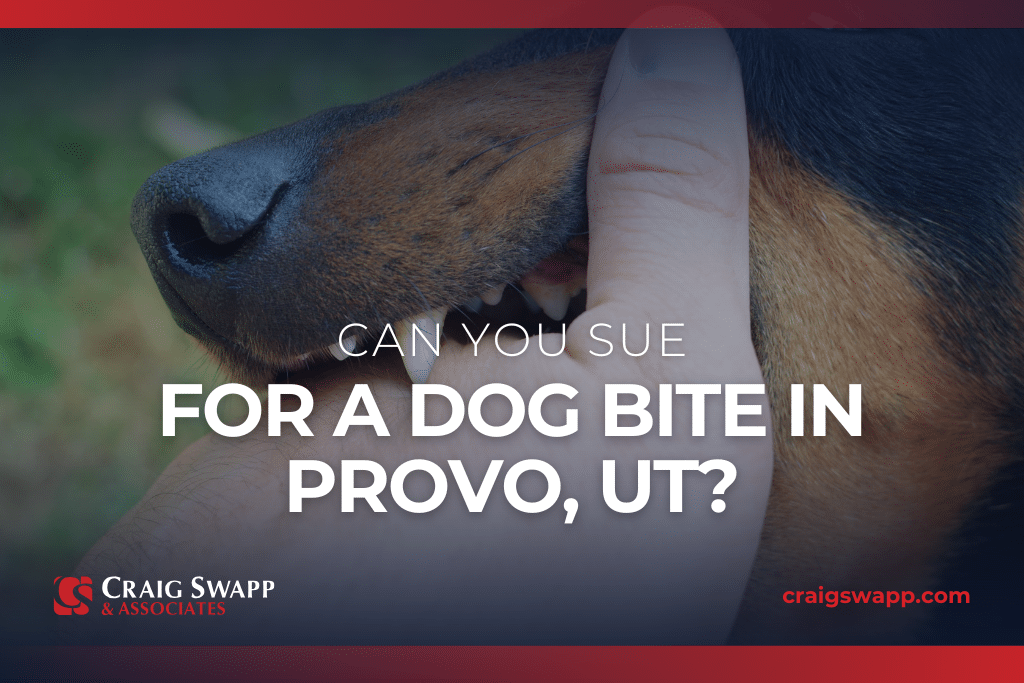Can You Sue for a Dog Bite in Provo, UT